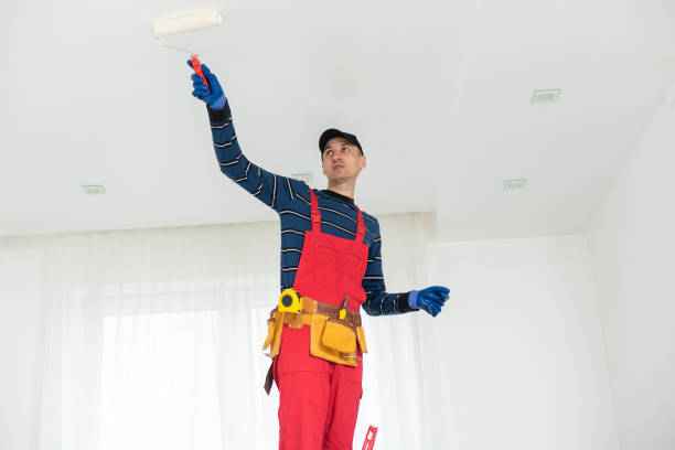 Best Real Estate Mold Inspection  in Golden, CO