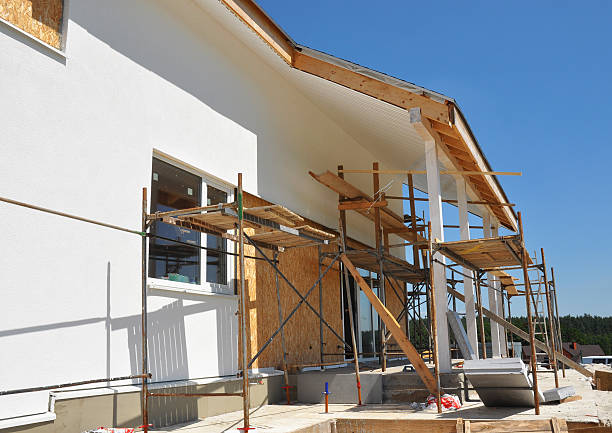 Best Emergency Mold Remediation  in Golden, CO