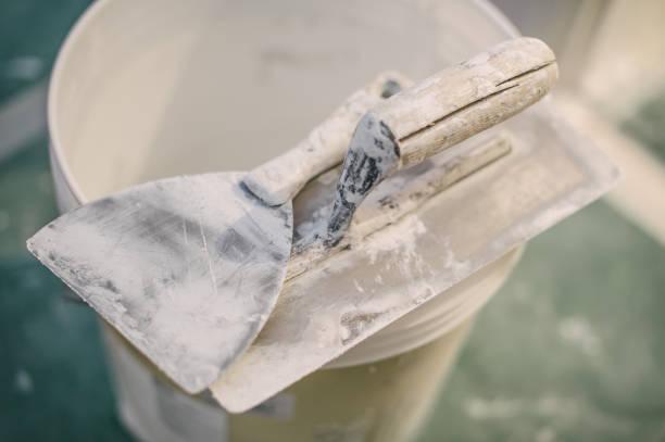 Golden, CO Mold Removal Company