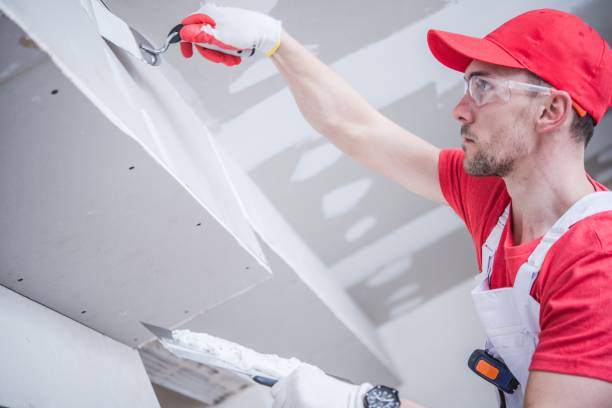 Best Mold Remediation for Healthcare Facilities  in Golden, CO